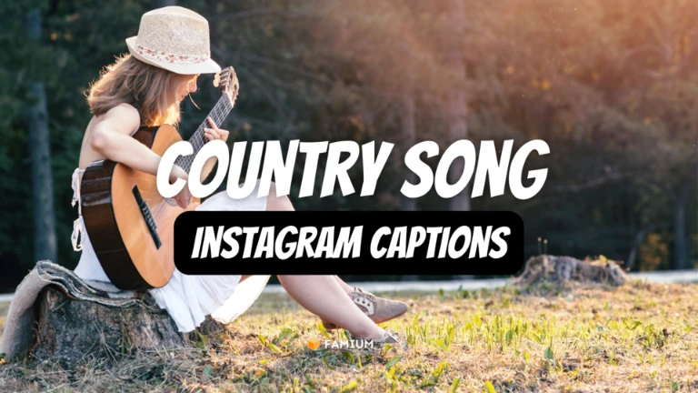 cute country song quotes