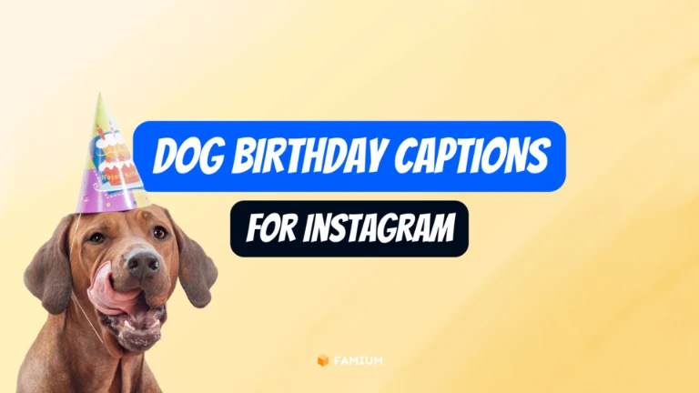 300+ PAW-Some Dog Captions for Instagram (You Won't Believe)