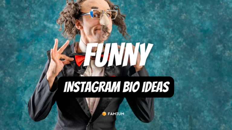 instagram bio ideas funny